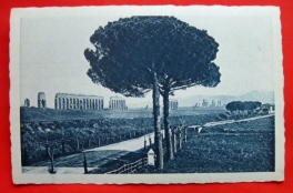 Řím - strom