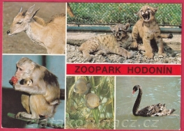https://www.zlatakorunacz.cz/eshop/products_pictures/hodonin-zoopark-1660207369.jpg