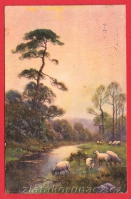 Ovce u řeky