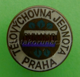 https://www.zlatakorunacz.cz/eshop/products_pictures/telovychovna-jednota-praha-1486128645.jpg